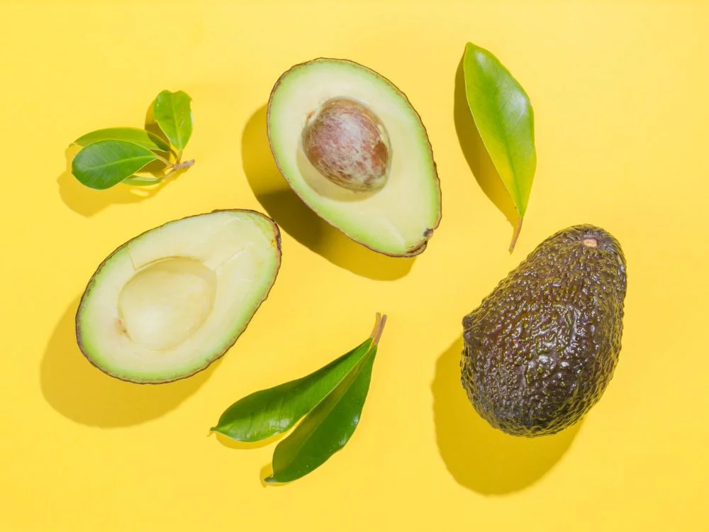 La verdad sobre el aguacate y los perros y gatos